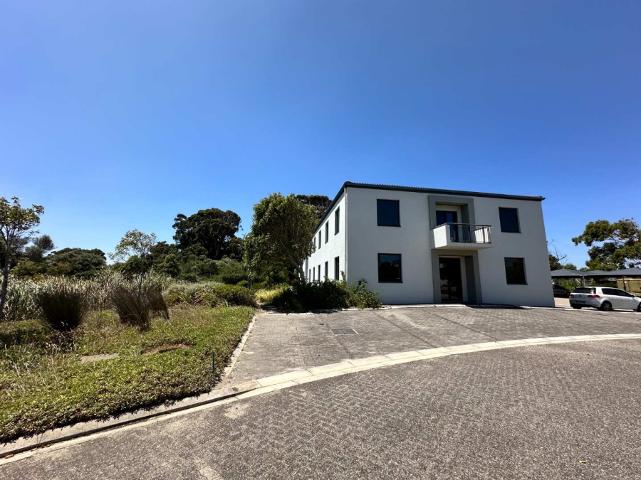 To Let 0 Bedroom Property for Rent in Kenilworth Western Cape